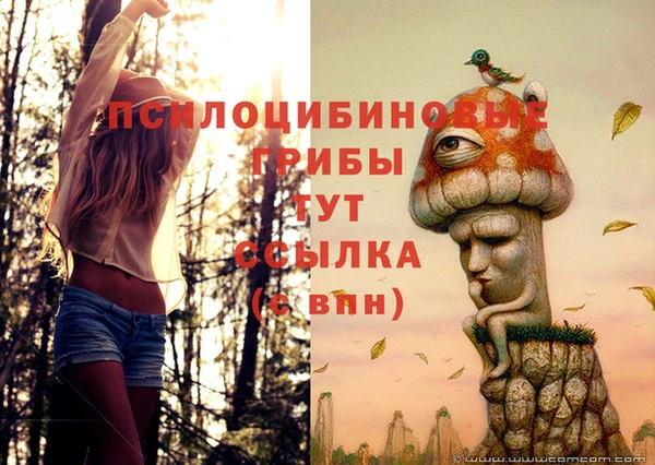 кокс Горно-Алтайск