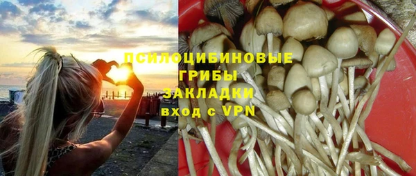 твердый Горнозаводск