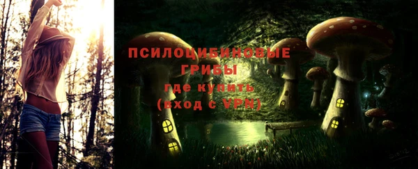 Альфа ПВП Горняк