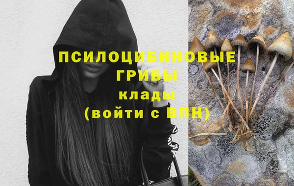 Альфа ПВП Горняк