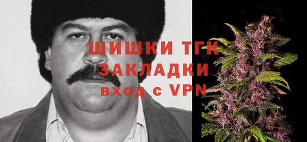 твердый Горнозаводск