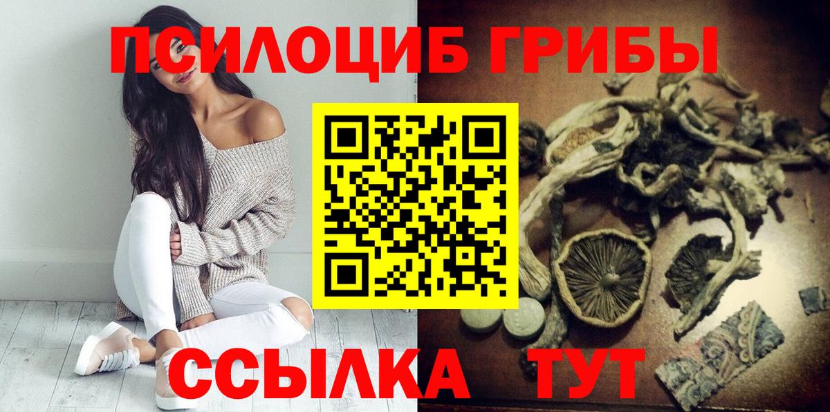 где купить наркоту  Вход с VPN  Сальск  Псилоцибиновые грибы прущие грибы 